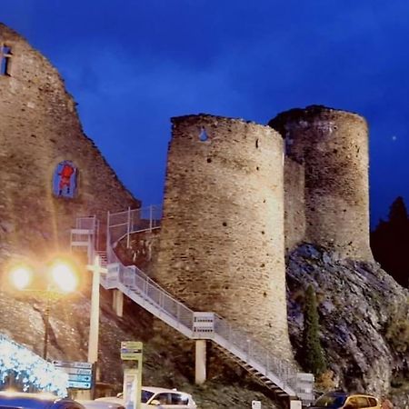 شقة Rochetaille Petit Havre De Paix سانت إتيان المظهر الخارجي الصورة
